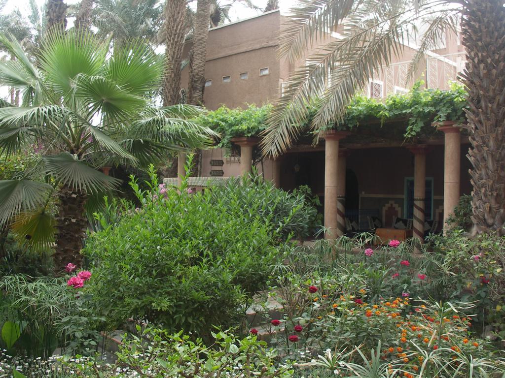 Fibule Du Draa Kasbah D'Hotes Загора Экстерьер фото