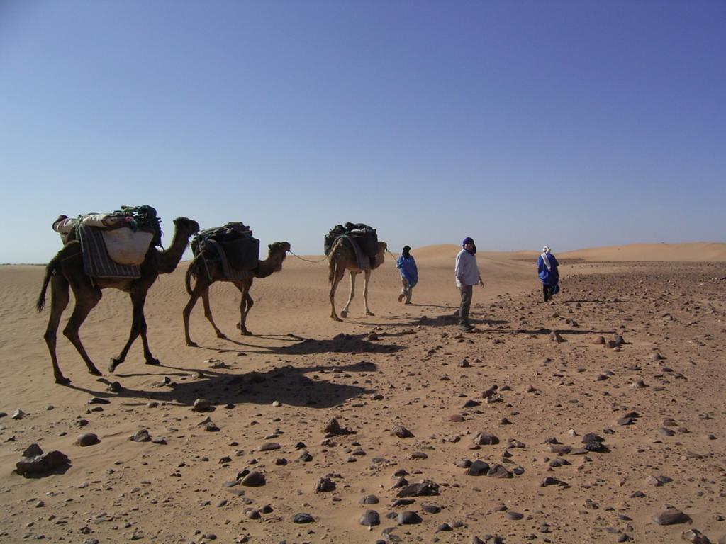 Fibule Du Draa Kasbah D'Hotes Загора Экстерьер фото