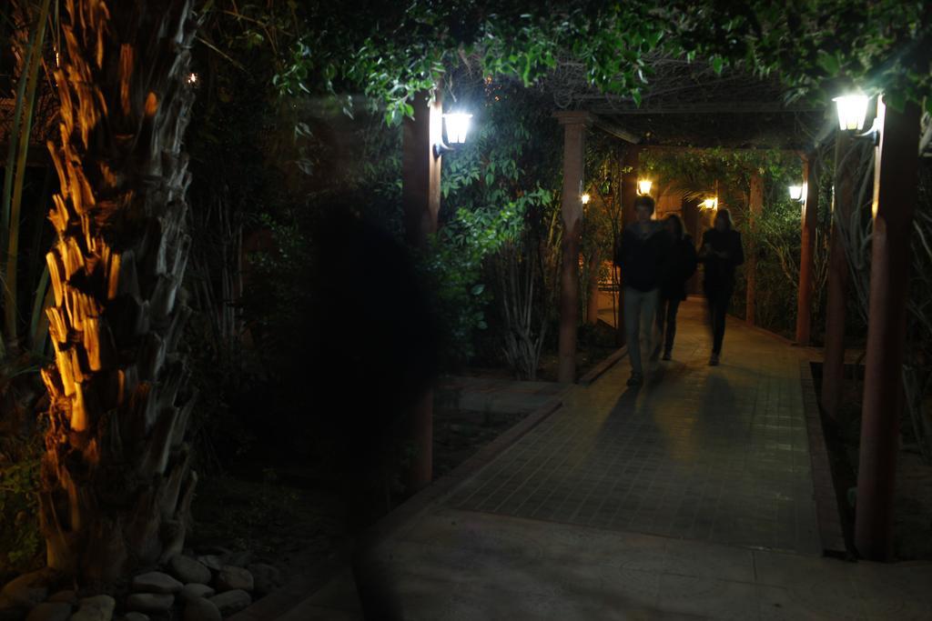 Fibule Du Draa Kasbah D'Hotes Загора Экстерьер фото